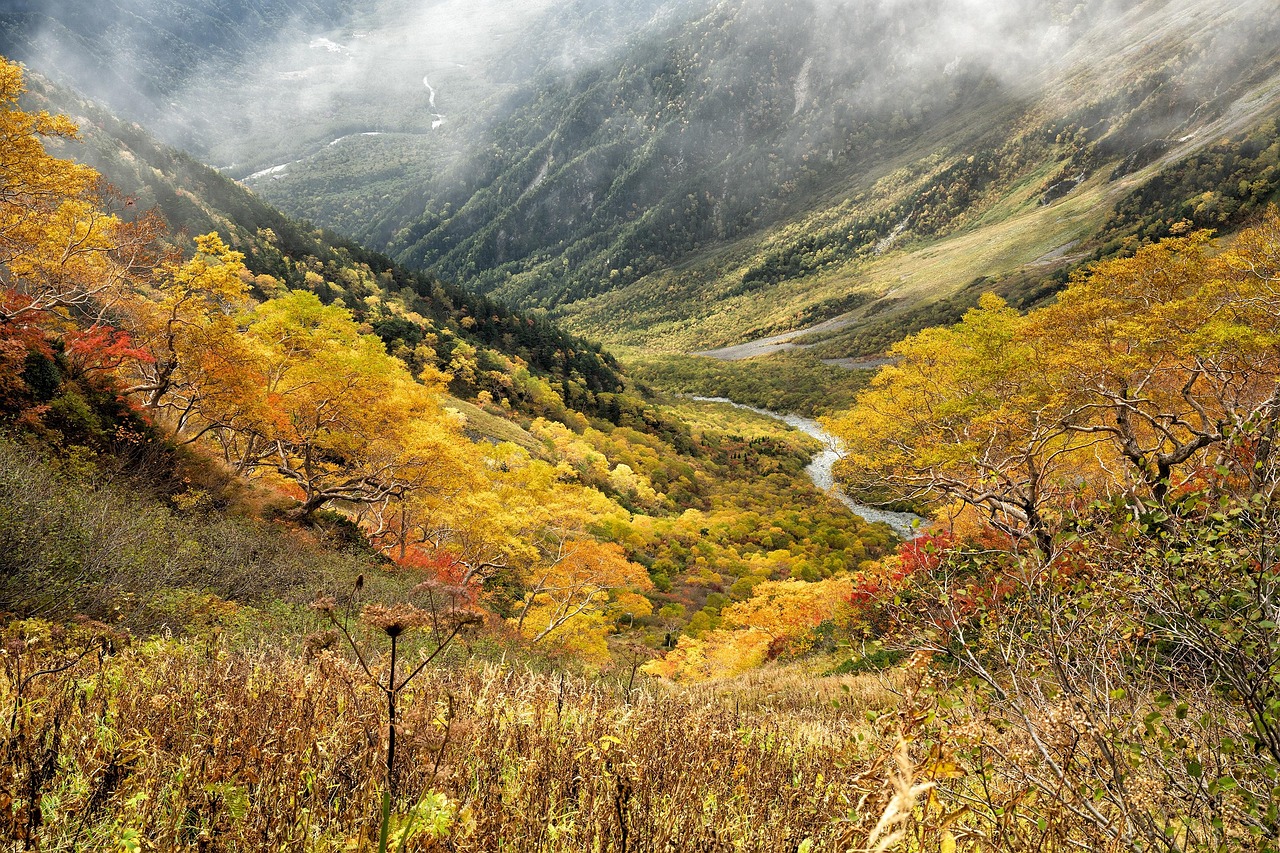 紅葉を楽しむ温泉旅行に最適なカップル専用宿泊おすすめ貸切プランは？