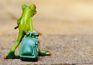 紅葉旅行でカップル向けの貸切露天風呂はどこにある？