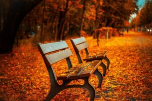 カップルで楽しむ紅葉の貸切露天の予約の取り方は？
