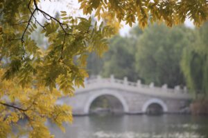 カップルで紅葉を楽しむ貸切露天格安プランの注意点は？