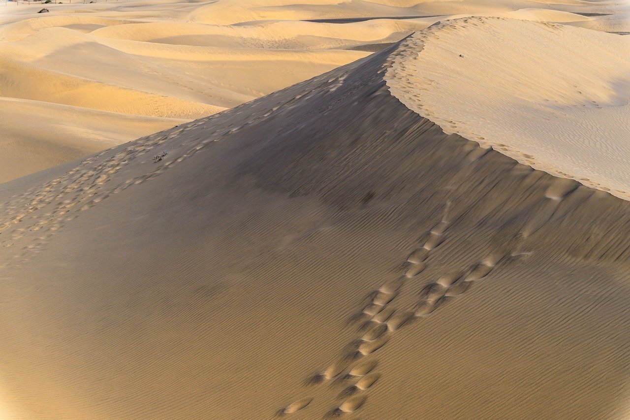 カップル旅行に最適な紅葉を楽しめる温泉旅館の貸切プランは？