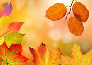 カップルで紅葉を楽しむ貸切露天でのメイクはどうする？