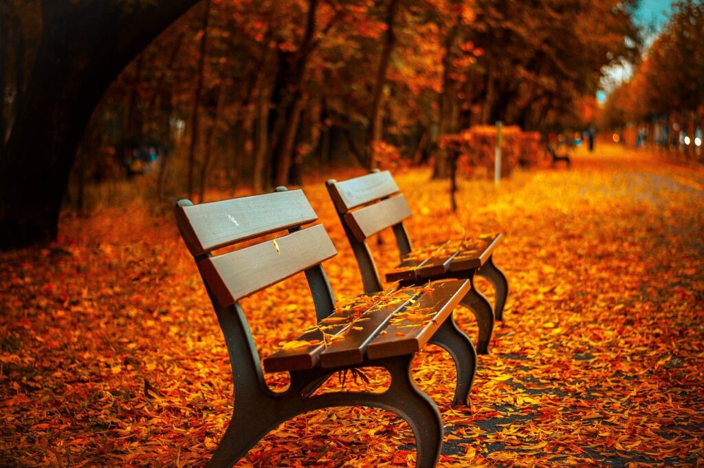 カップルにおすすめの紅葉名所近くの宿で貸切露天を楽しむには？